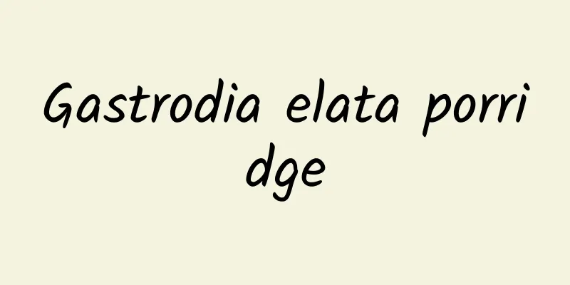 Gastrodia elata porridge