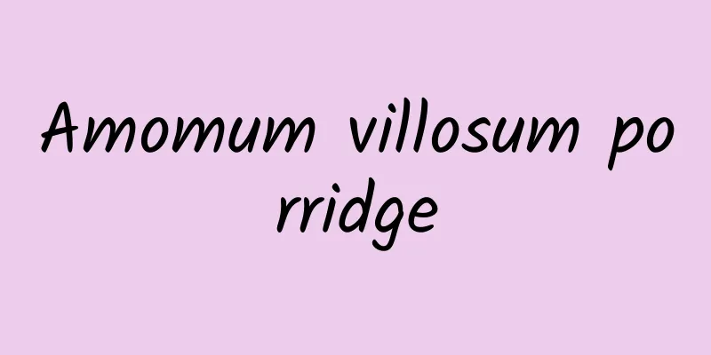 Amomum villosum porridge