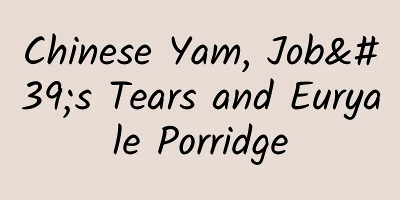 Chinese Yam, Job's Tears and Euryale Porridge