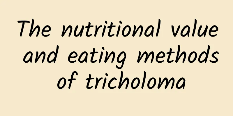 The nutritional value and eating methods of tricholoma