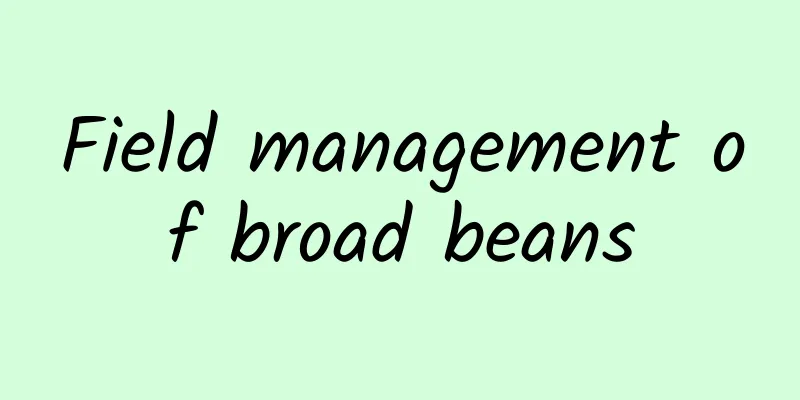 Field management of broad beans