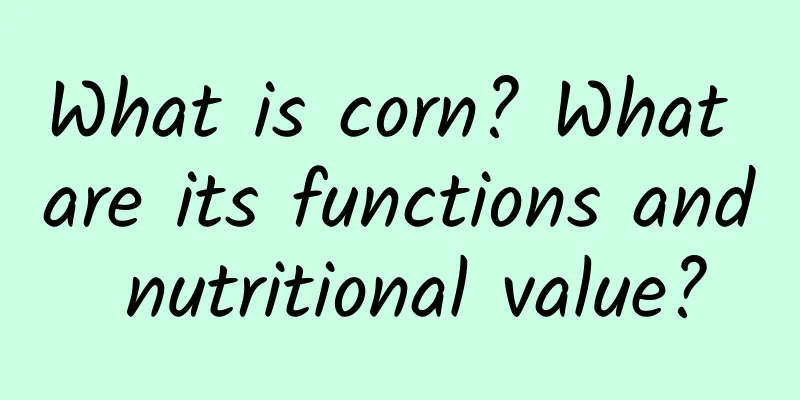 What is corn? What are its functions and nutritional value?