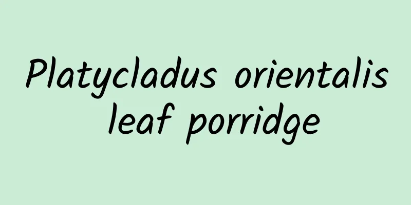 Platycladus orientalis leaf porridge