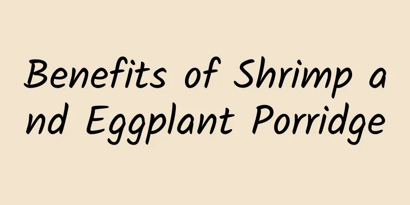 Benefits of Shrimp and Eggplant Porridge