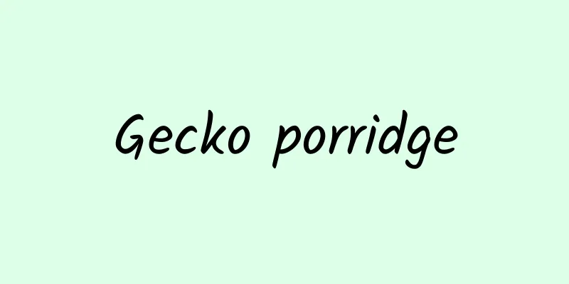 Gecko porridge