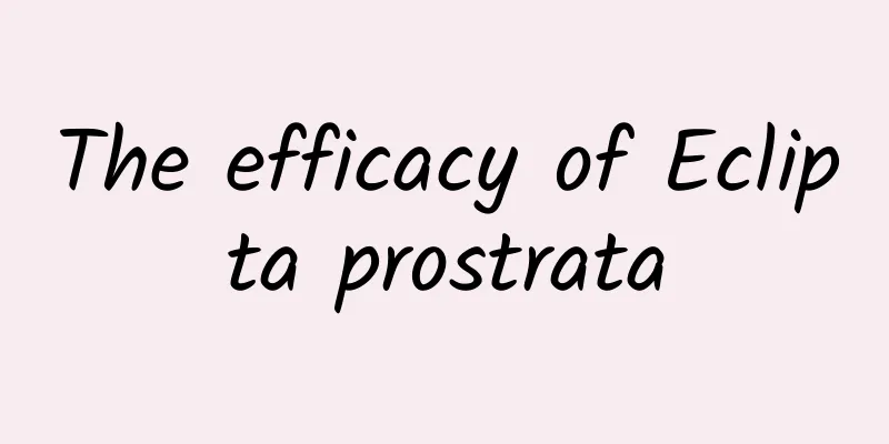 The efficacy of Eclipta prostrata