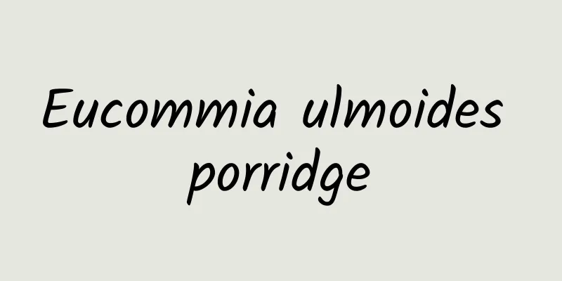 Eucommia ulmoides porridge