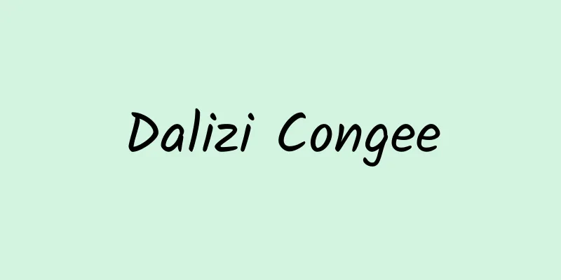 Dalizi Congee