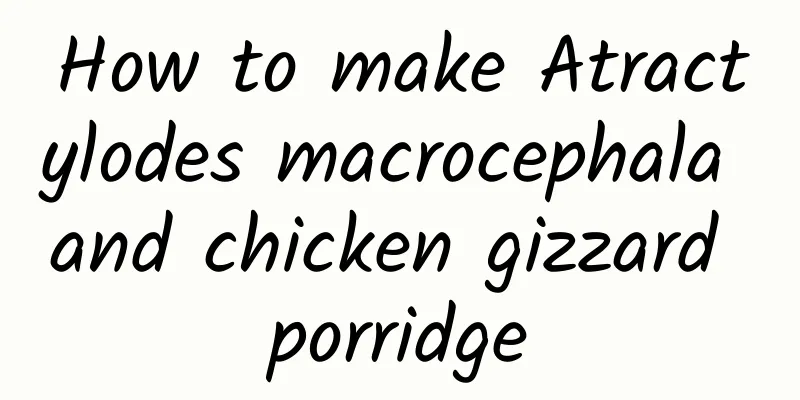 How to make Atractylodes macrocephala and chicken gizzard porridge