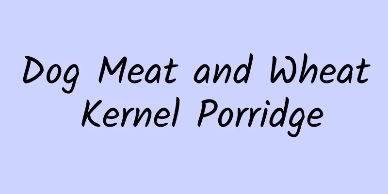 Dog Meat and Wheat Kernel Porridge