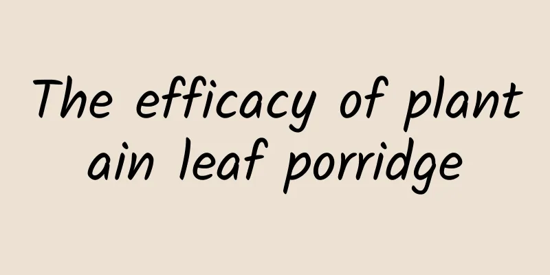 The efficacy of plantain leaf porridge