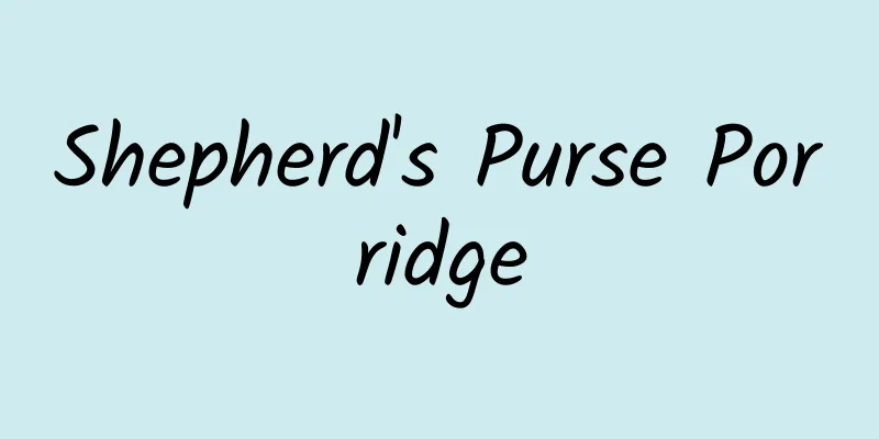 Shepherd's Purse Porridge