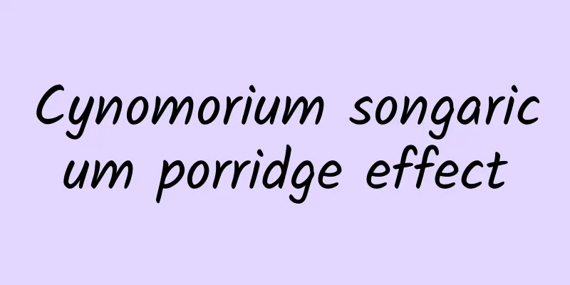 Cynomorium songaricum porridge effect