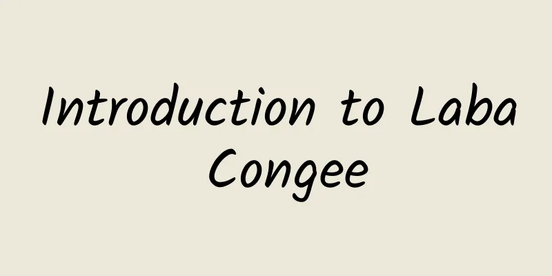 Introduction to Laba Congee