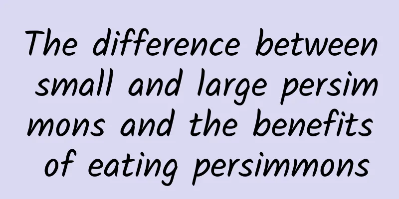 The difference between small and large persimmons and the benefits of eating persimmons