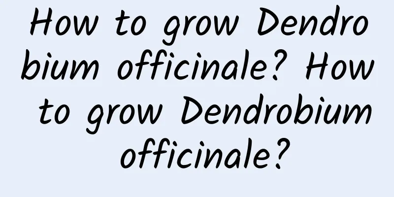 How to grow Dendrobium officinale? How to grow Dendrobium officinale?