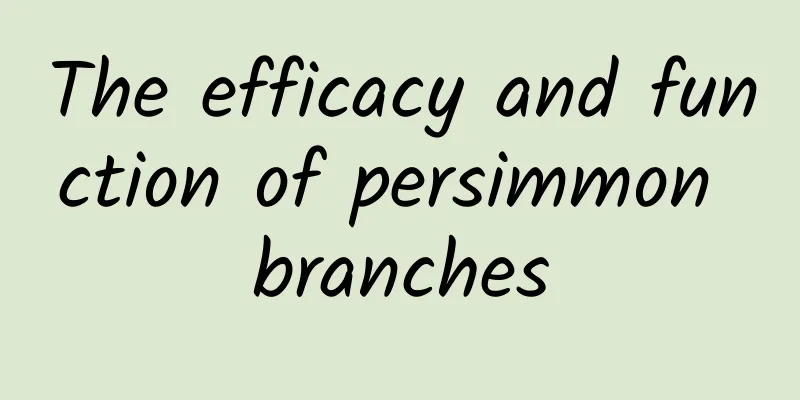 The efficacy and function of persimmon branches