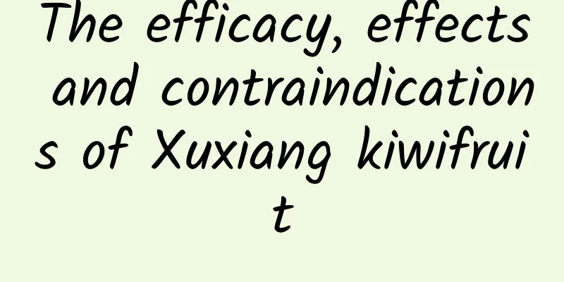 The efficacy, effects and contraindications of Xuxiang kiwifruit