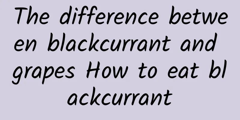 The difference between blackcurrant and grapes How to eat blackcurrant