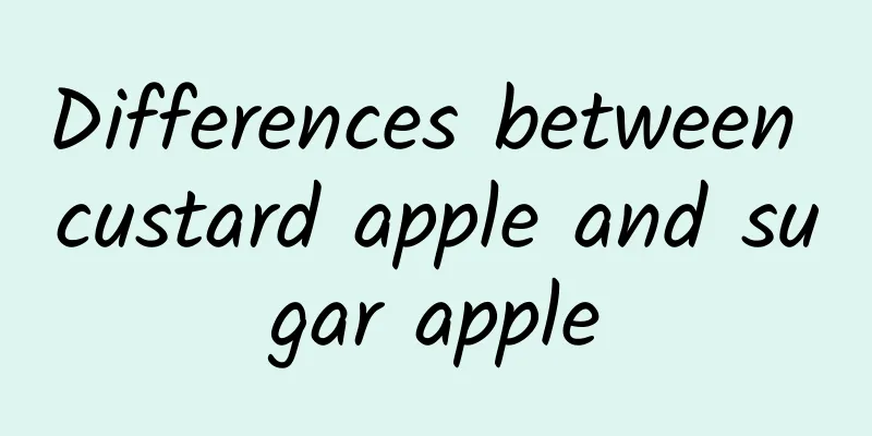 Differences between custard apple and sugar apple