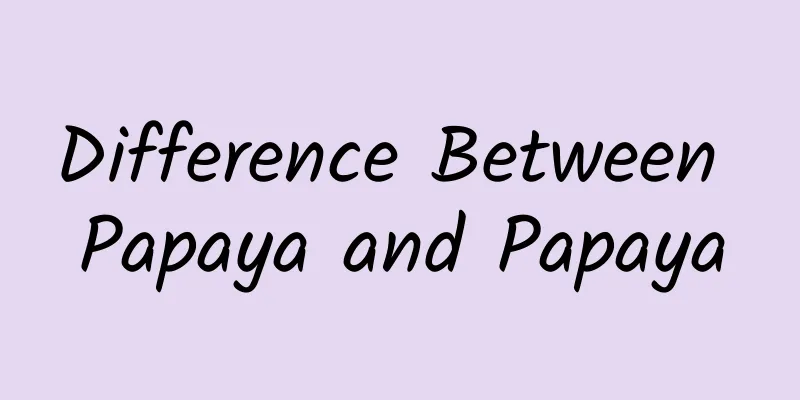 Difference Between Papaya and Papaya