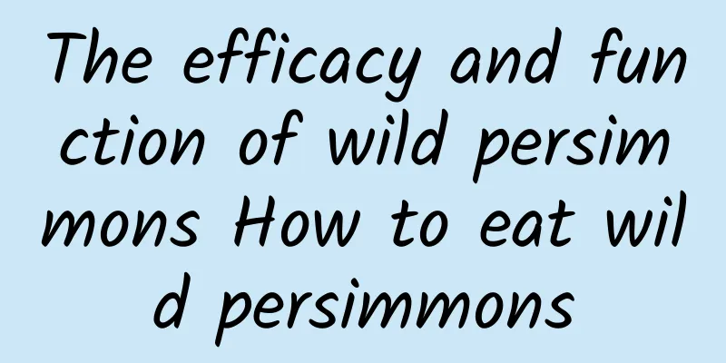 The efficacy and function of wild persimmons How to eat wild persimmons