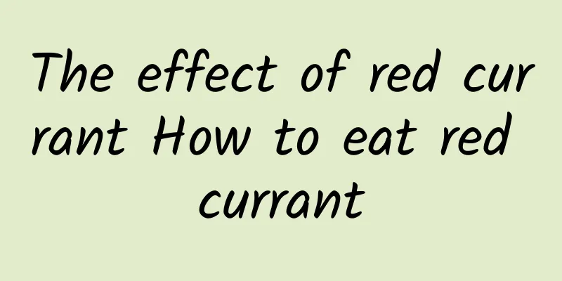 The effect of red currant How to eat red currant