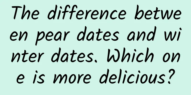 The difference between pear dates and winter dates. Which one is more delicious?