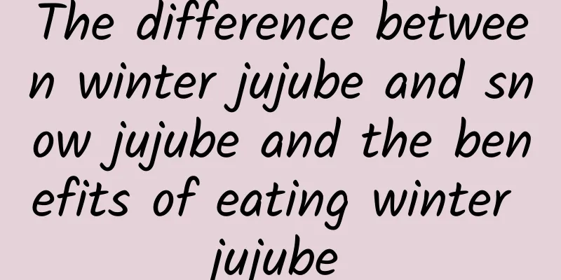 The difference between winter jujube and snow jujube and the benefits of eating winter jujube