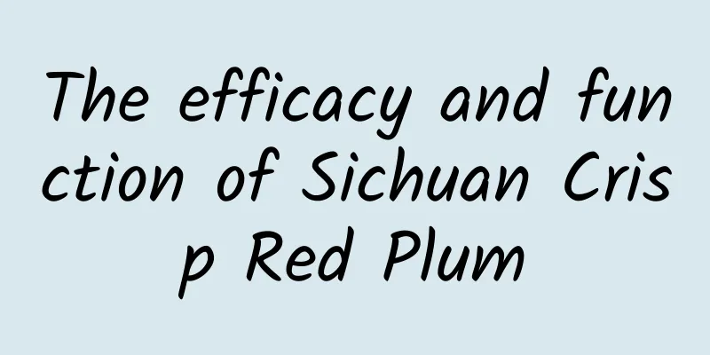 The efficacy and function of Sichuan Crisp Red Plum