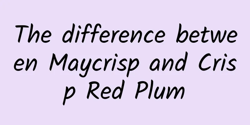 The difference between Maycrisp and Crisp Red Plum