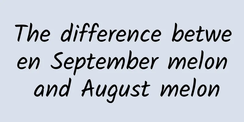 The difference between September melon and August melon