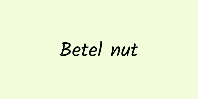 Betel nut