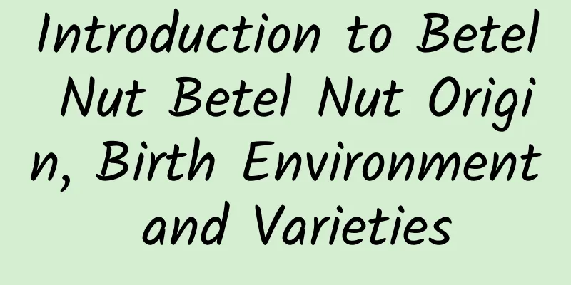 Introduction to Betel Nut Betel Nut Origin, Birth Environment and Varieties