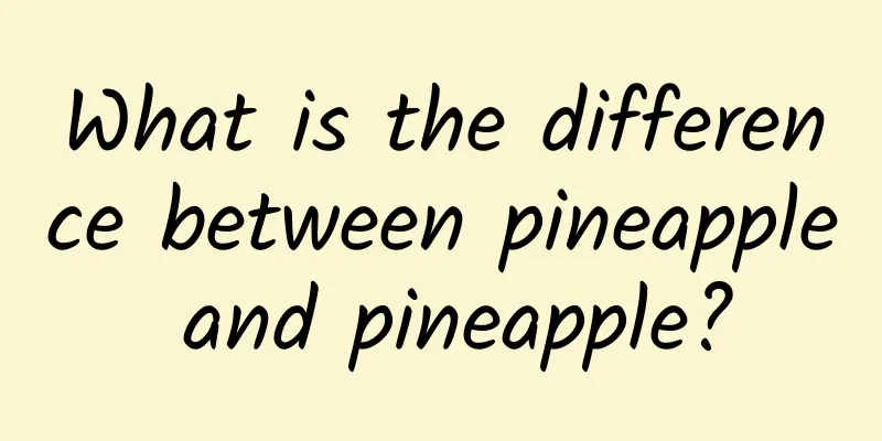 What is the difference between pineapple and pineapple?