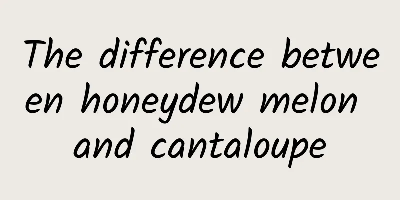 The difference between honeydew melon and cantaloupe