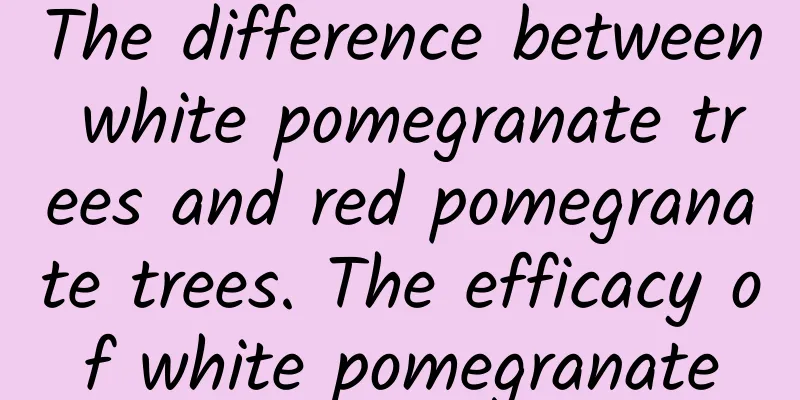 The difference between white pomegranate trees and red pomegranate trees. The efficacy of white pomegranate