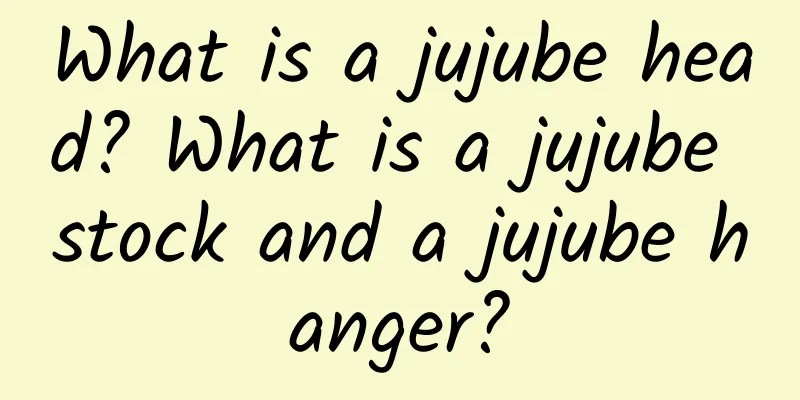 What is a jujube head? What is a jujube stock and a jujube hanger?