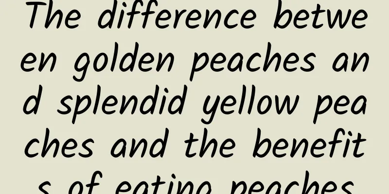 The difference between golden peaches and splendid yellow peaches and the benefits of eating peaches