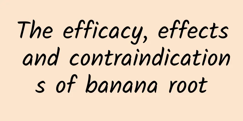 The efficacy, effects and contraindications of banana root