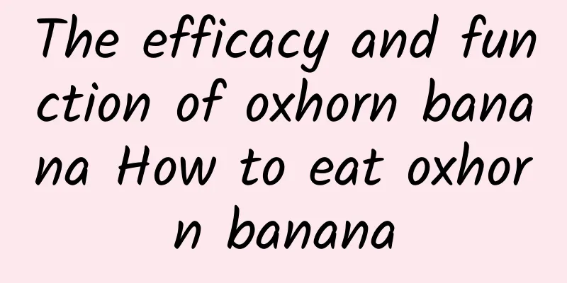 The efficacy and function of oxhorn banana How to eat oxhorn banana