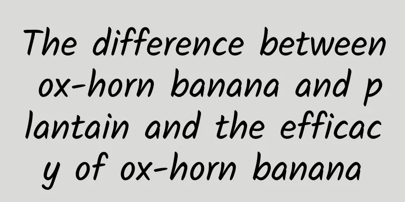 The difference between ox-horn banana and plantain and the efficacy of ox-horn banana