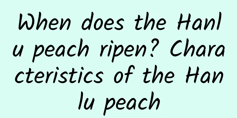 When does the Hanlu peach ripen? Characteristics of the Hanlu peach