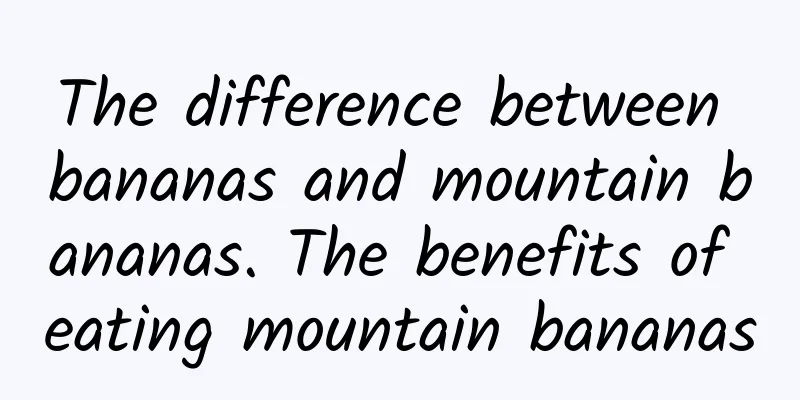 The difference between bananas and mountain bananas. The benefits of eating mountain bananas