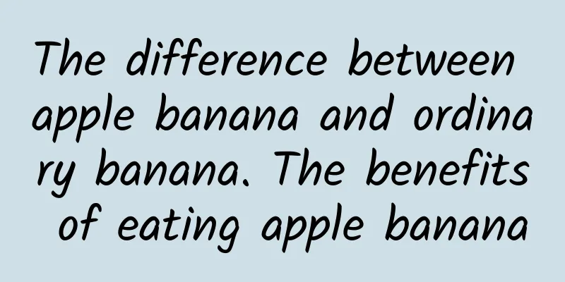 The difference between apple banana and ordinary banana. The benefits of eating apple banana