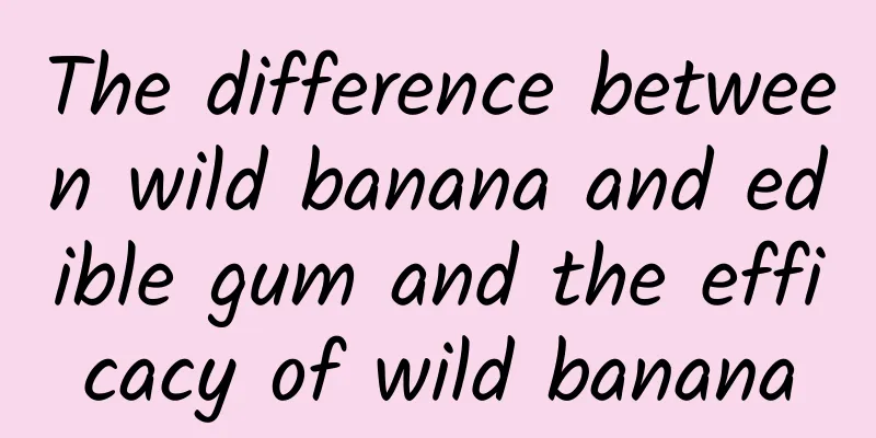 The difference between wild banana and edible gum and the efficacy of wild banana