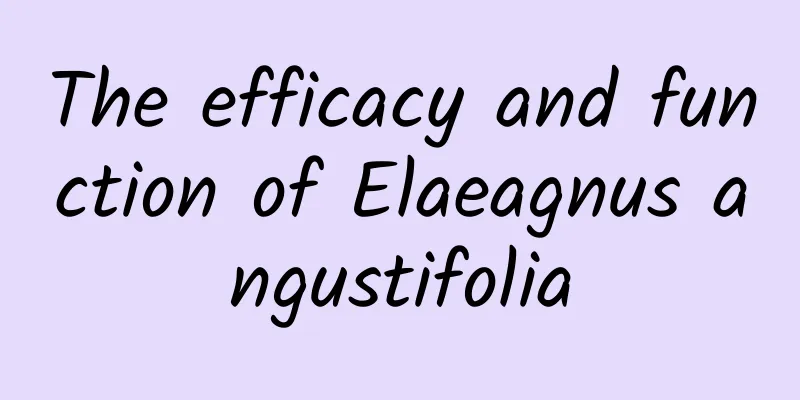 The efficacy and function of Elaeagnus angustifolia