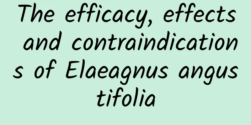 The efficacy, effects and contraindications of Elaeagnus angustifolia