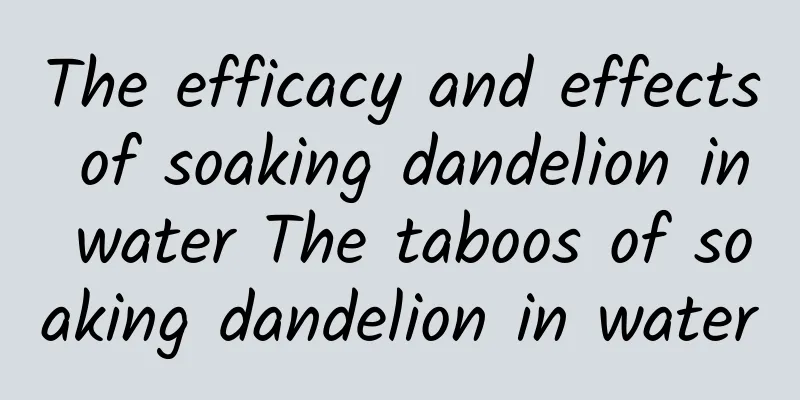 The efficacy and effects of soaking dandelion in water The taboos of soaking dandelion in water