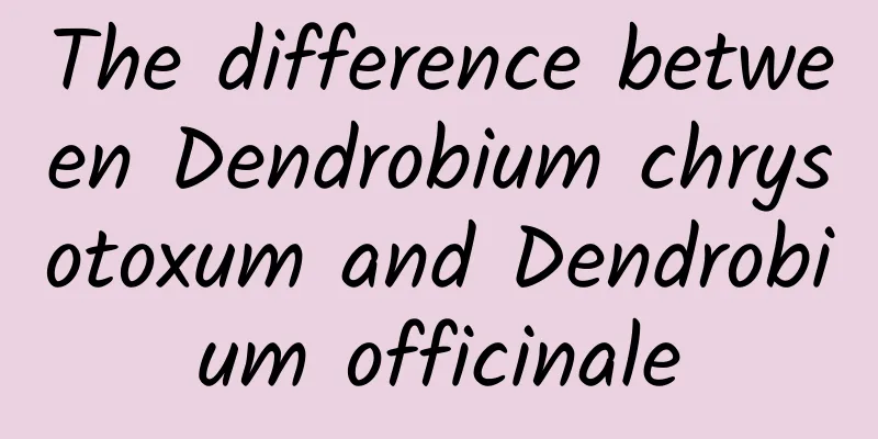 The difference between Dendrobium chrysotoxum and Dendrobium officinale